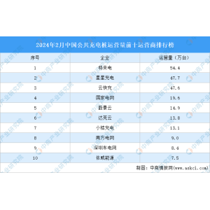 2024年2月中国大众充电桩运营量前十运营商排行榜（千亿球友会下载附榜单）