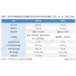 干货！2021年中国电动汽车充电桩行业市场所作格式——星星充电：同享私桩的次要运