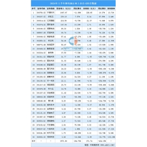 千亿球友会平台2024年上半年中国锂电池行业上市公司功绩排行榜